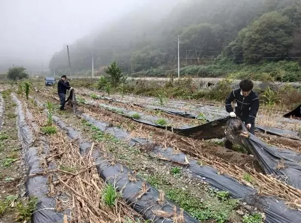 메인사진