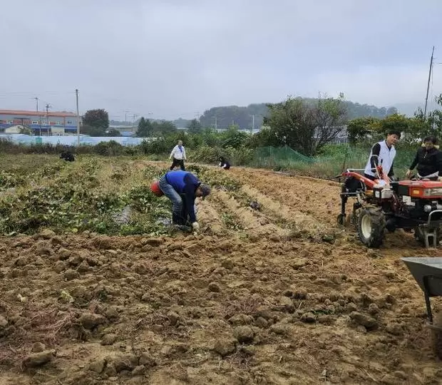 메인사진