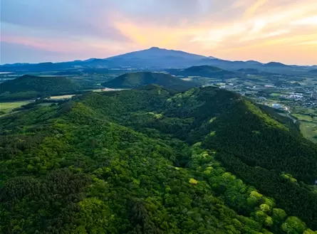 메인사진