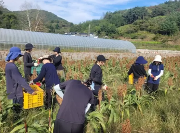 메인사진