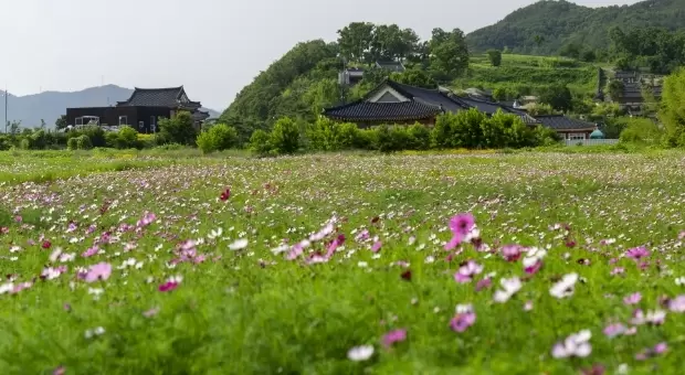 메인사진