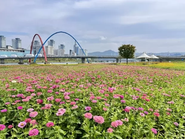 메인사진