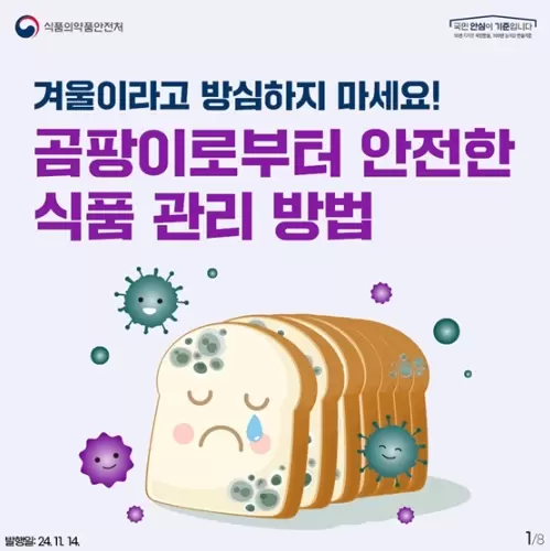 메인사진