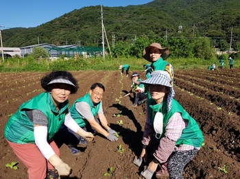 메인사진