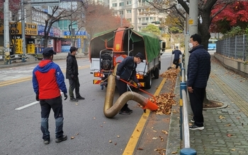 메인사진