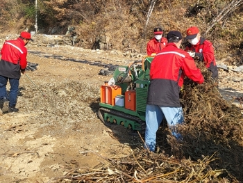 메인사진