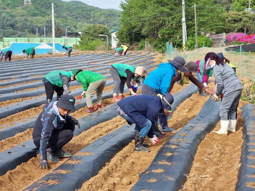 메인사진