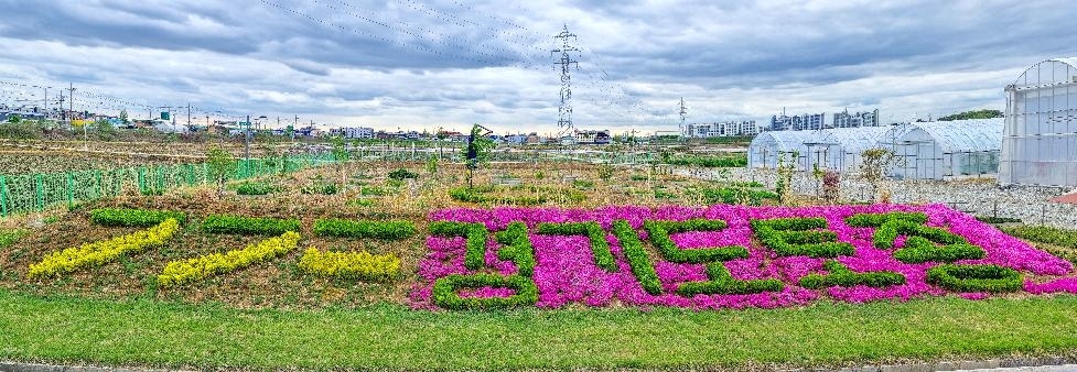 메인사진