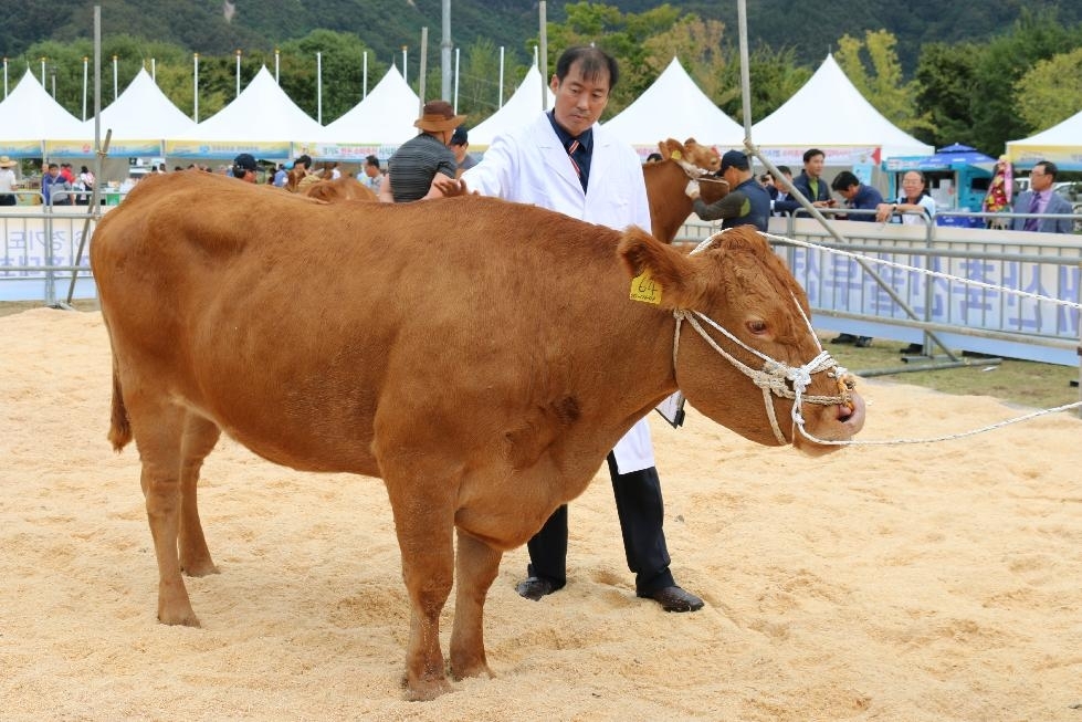 메인사진