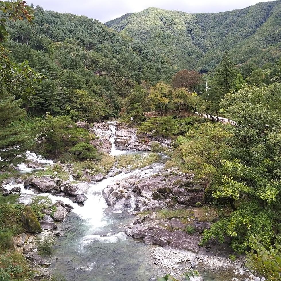 메인사진