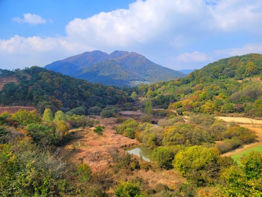 메인사진