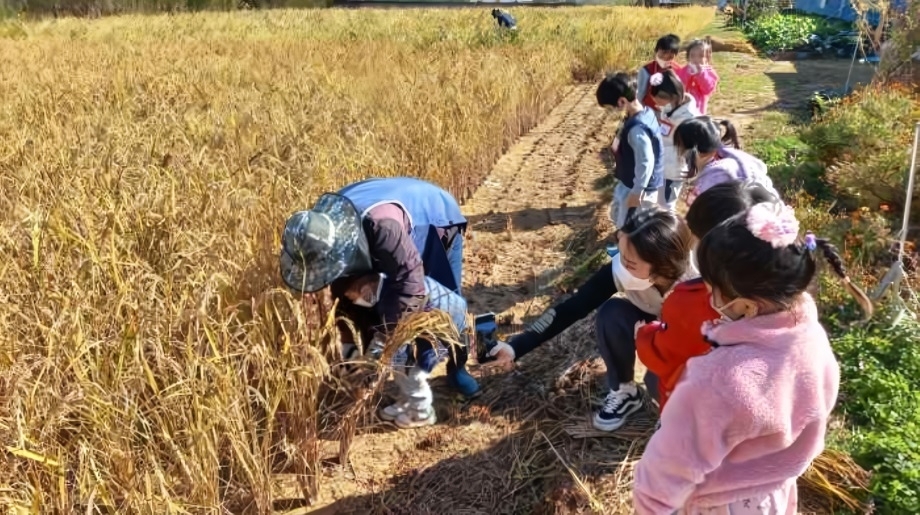 메인사진