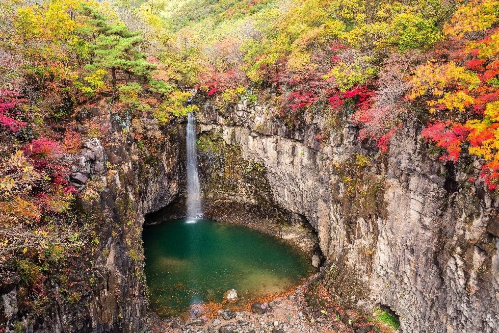 메인사진