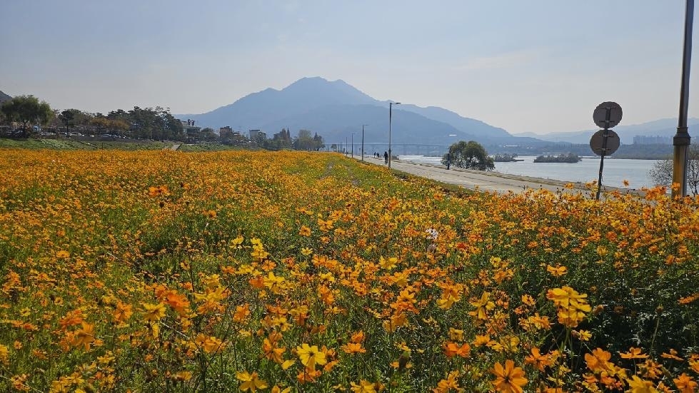 메인사진