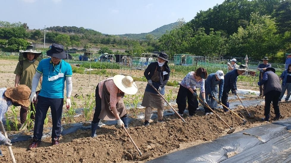 메인사진