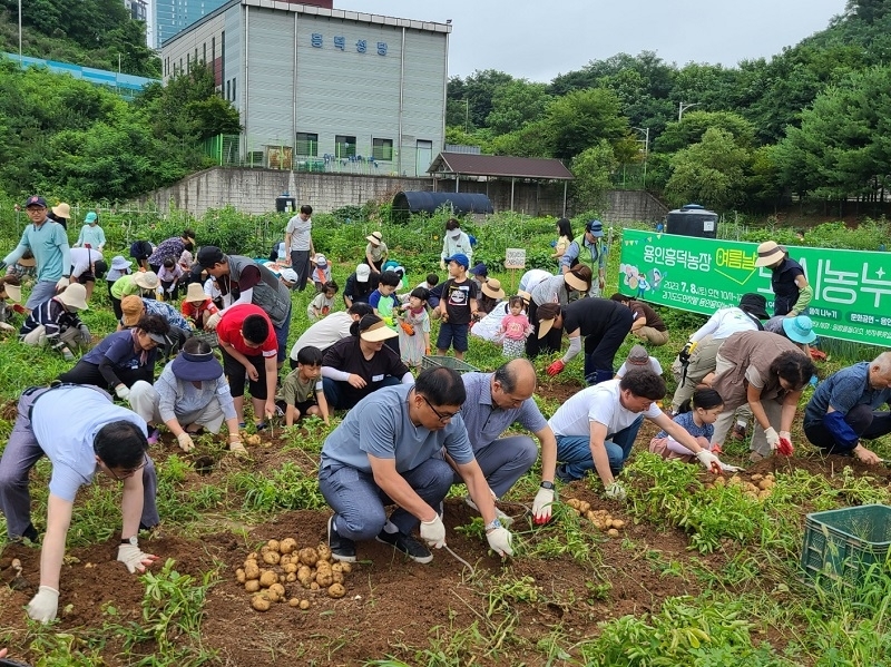 메인사진