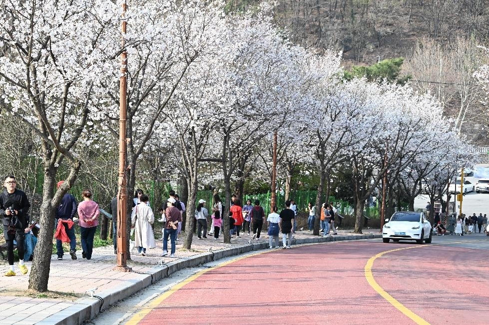 메인사진