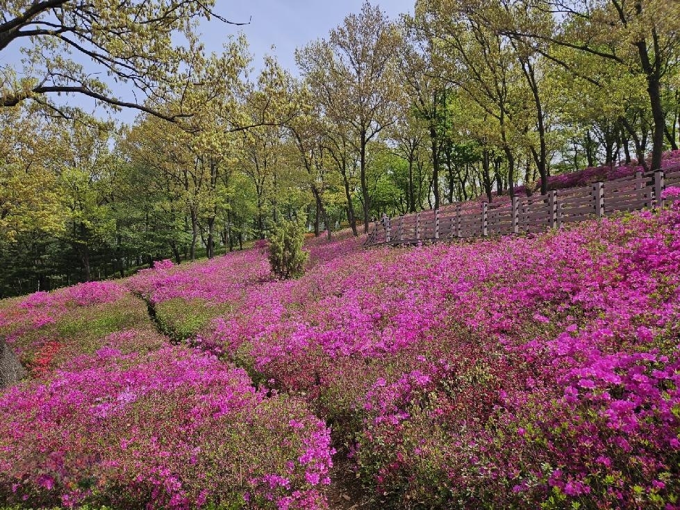 메인사진