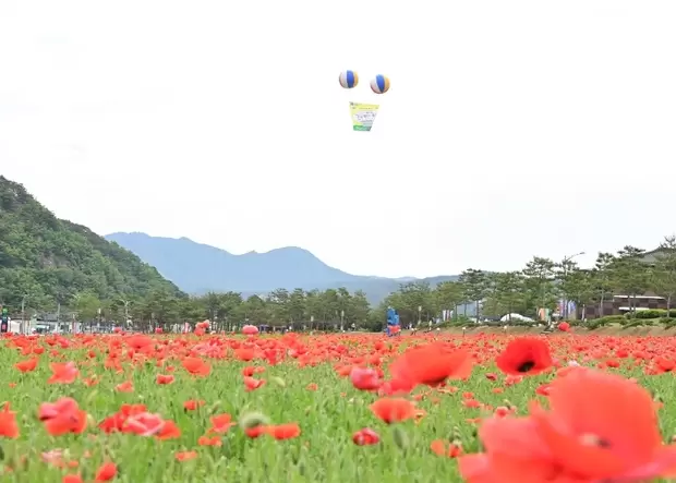 메인사진