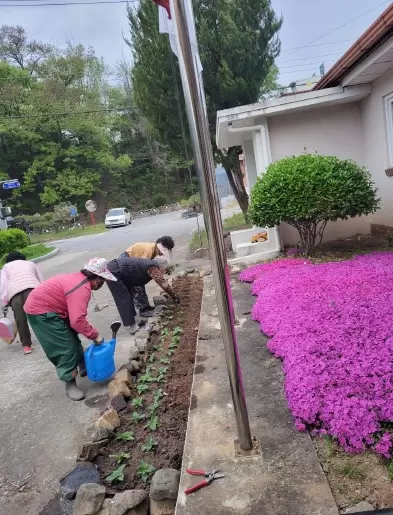 메인사진