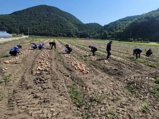 메인사진