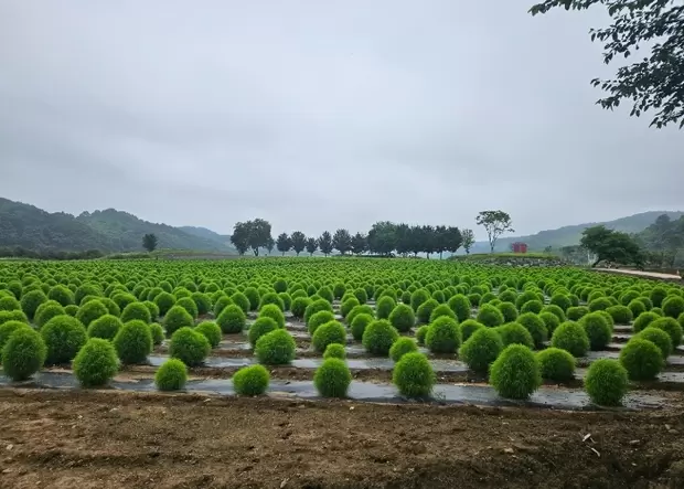 메인사진