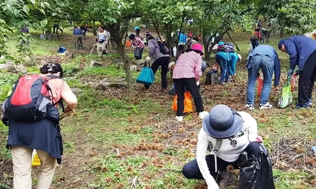 메인사진