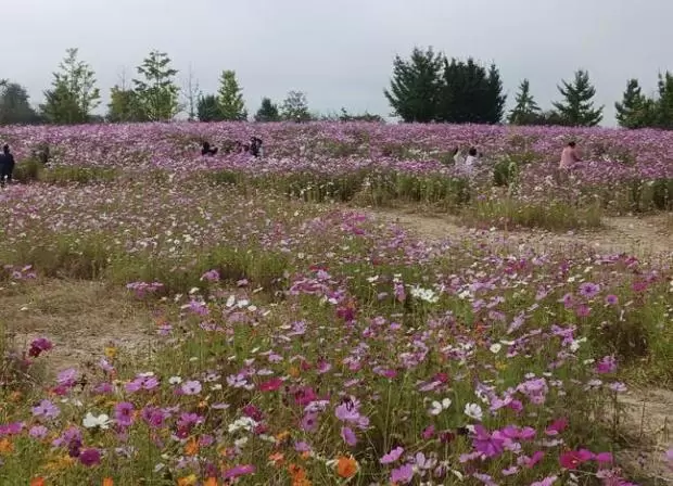 메인사진