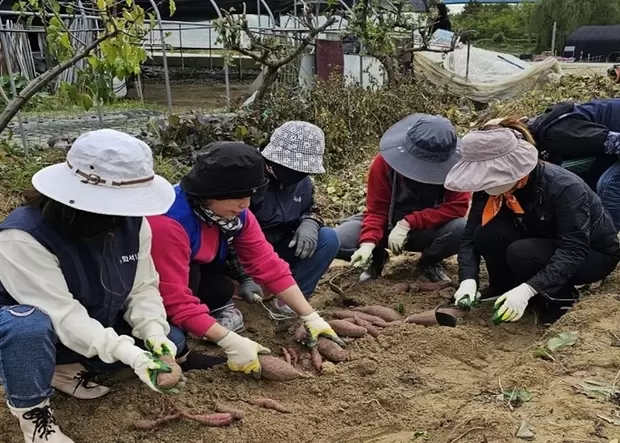 메인사진