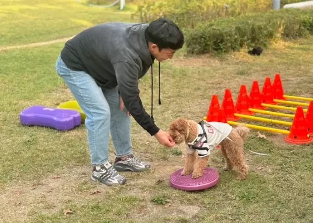 메인사진