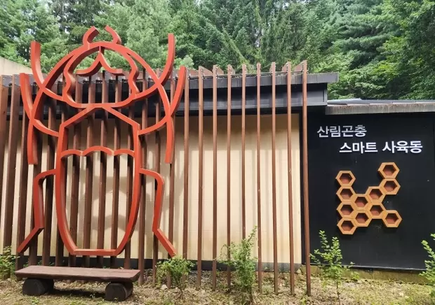 메인사진