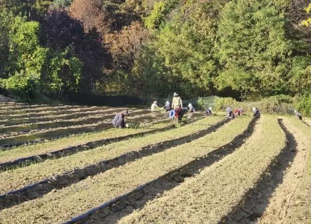 메인사진