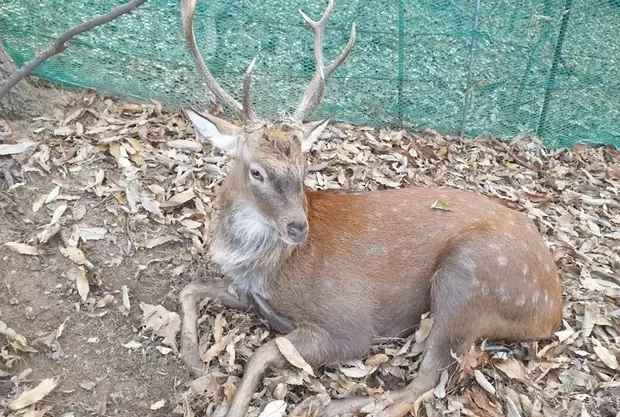 메인사진