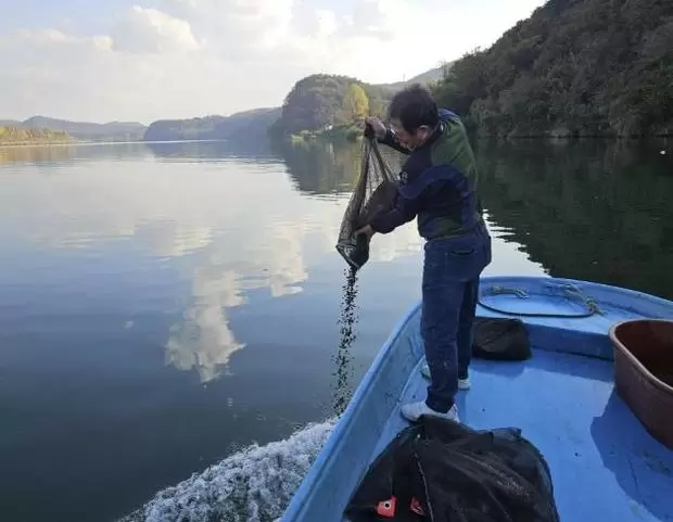 메인사진