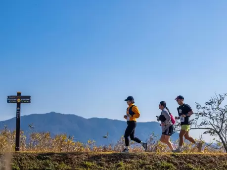 메인사진