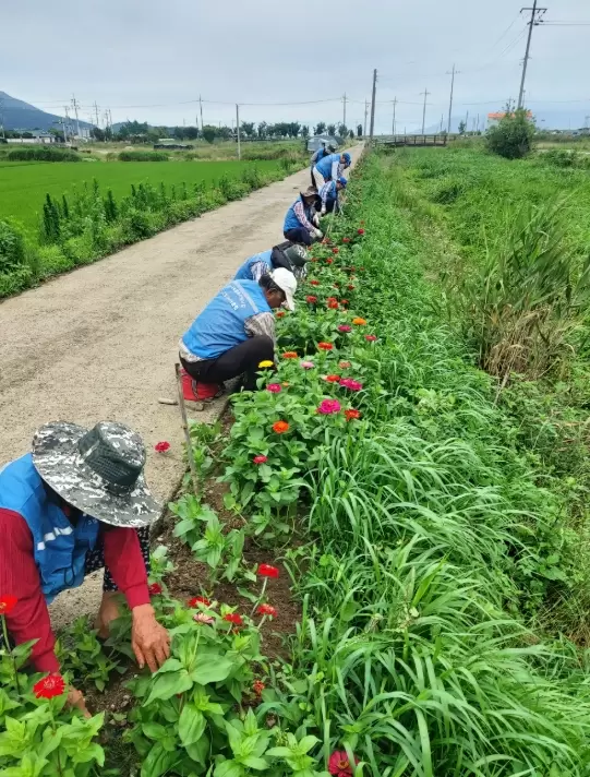 메인사진